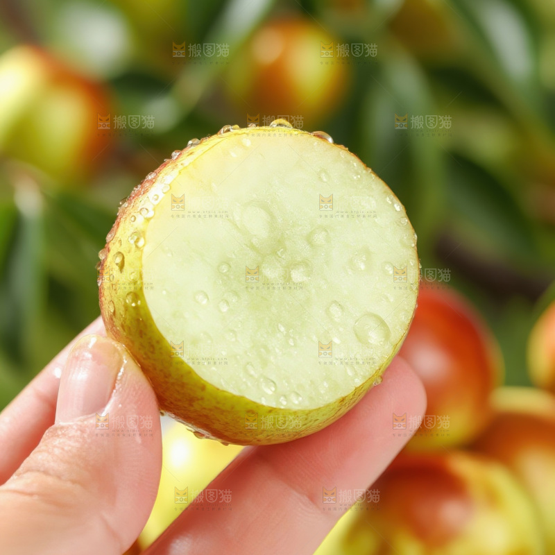 大荔冬枣