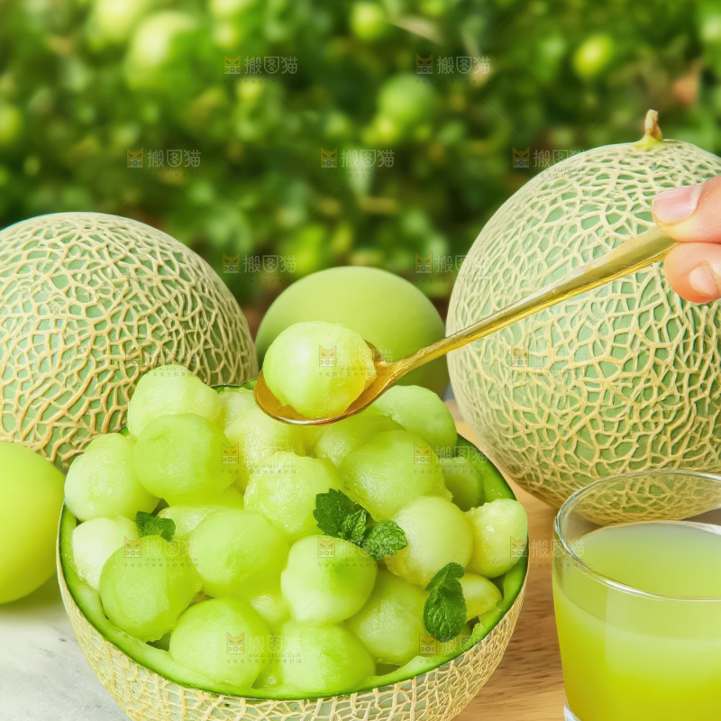网纹蜜瓜