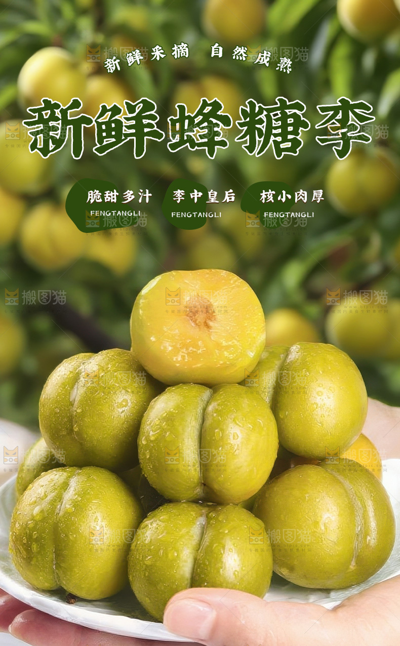 蜂糖李详情页