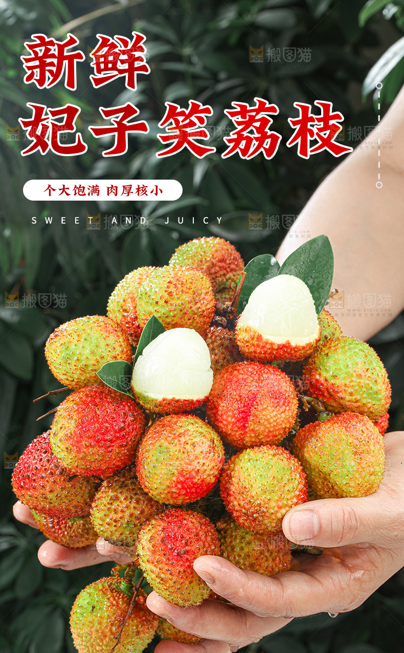 妃子笑详情页
