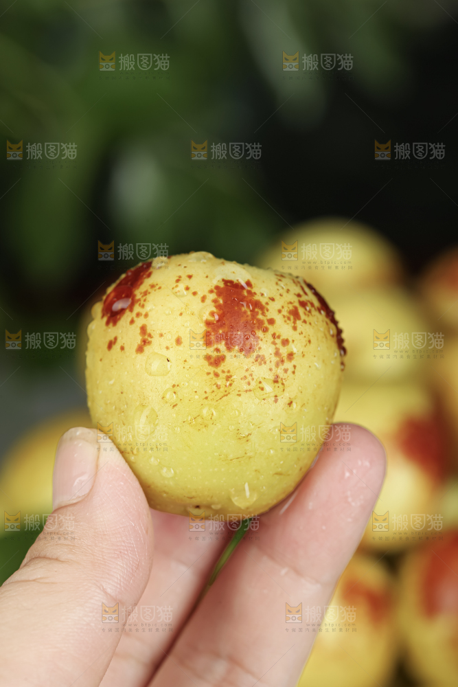 大荔冬枣