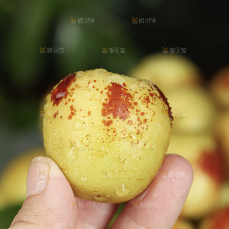 大荔冬枣