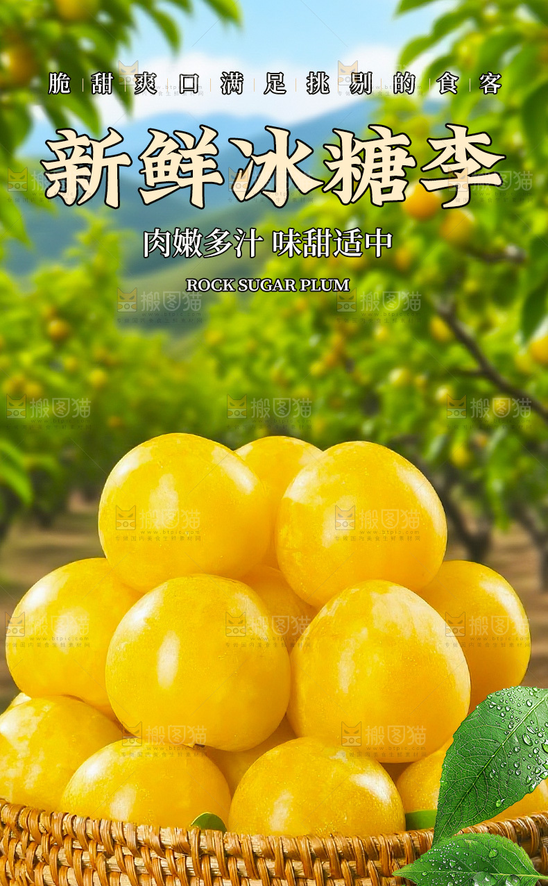 冰糖李详情页