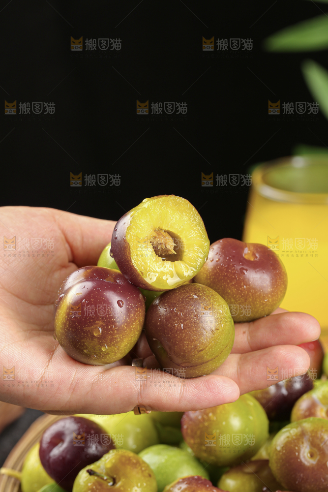 茵红脱骨李