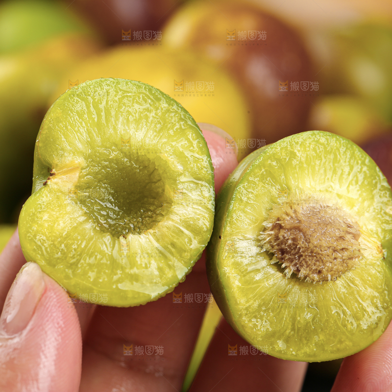 茵红脱骨李