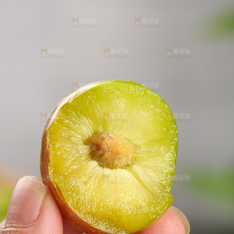 茵红脱骨李