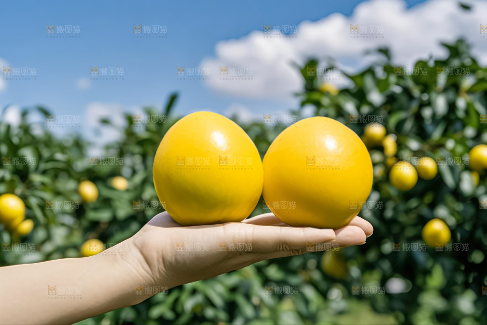 黄晶果