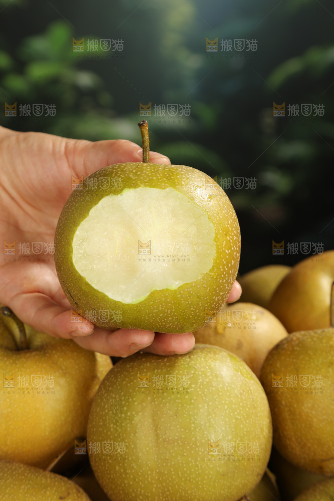黄皮梨