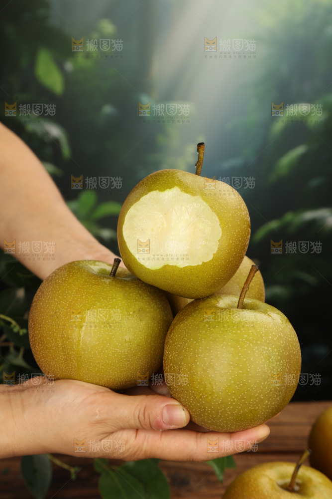 黄皮梨