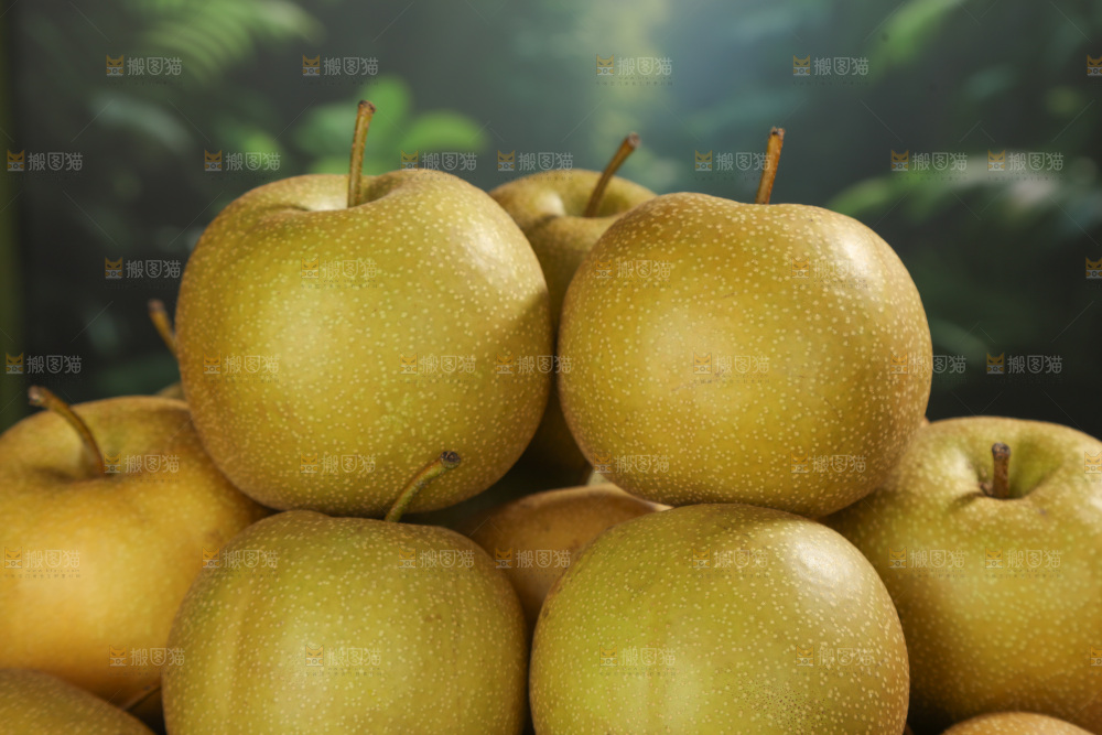 黄皮梨