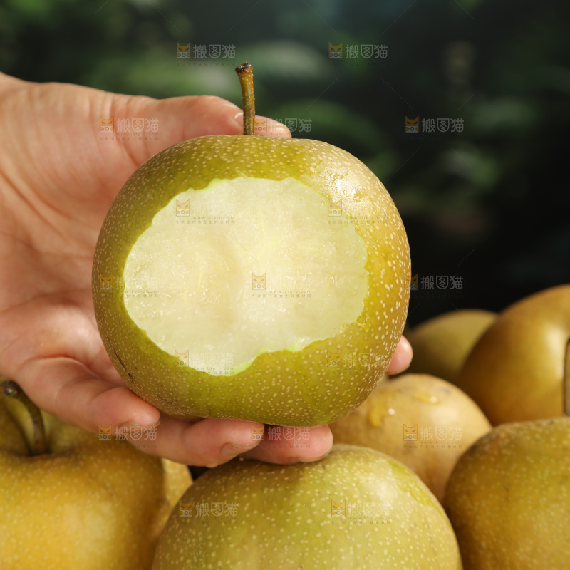黄皮梨