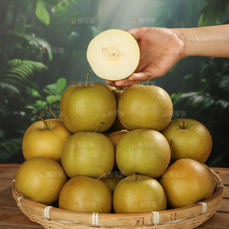 黄皮梨