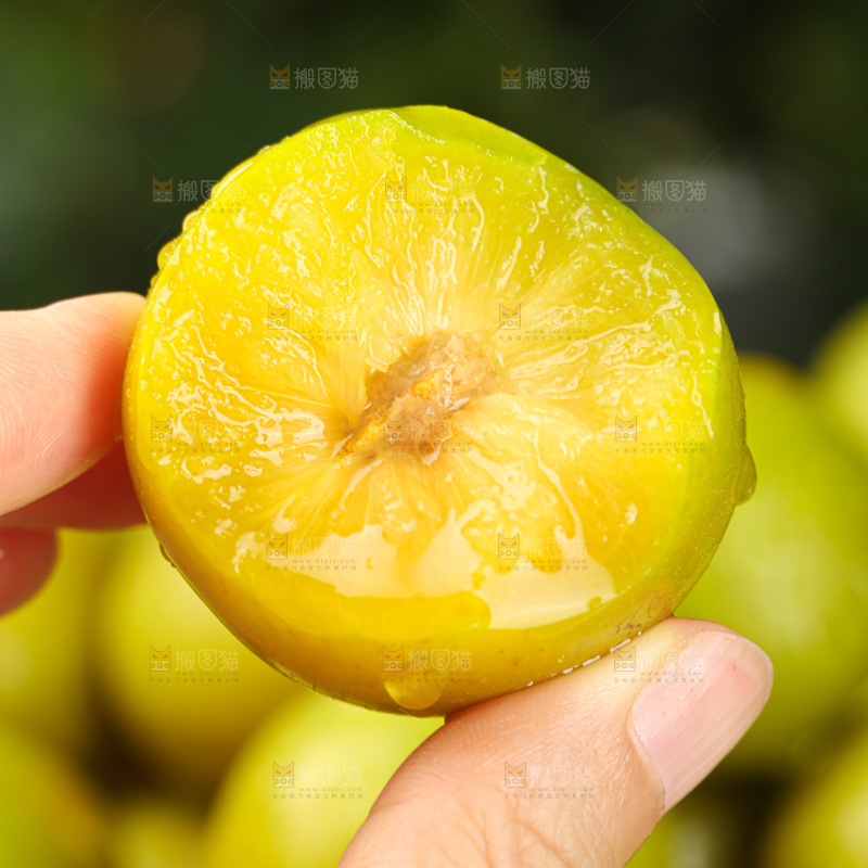 蜂糖李