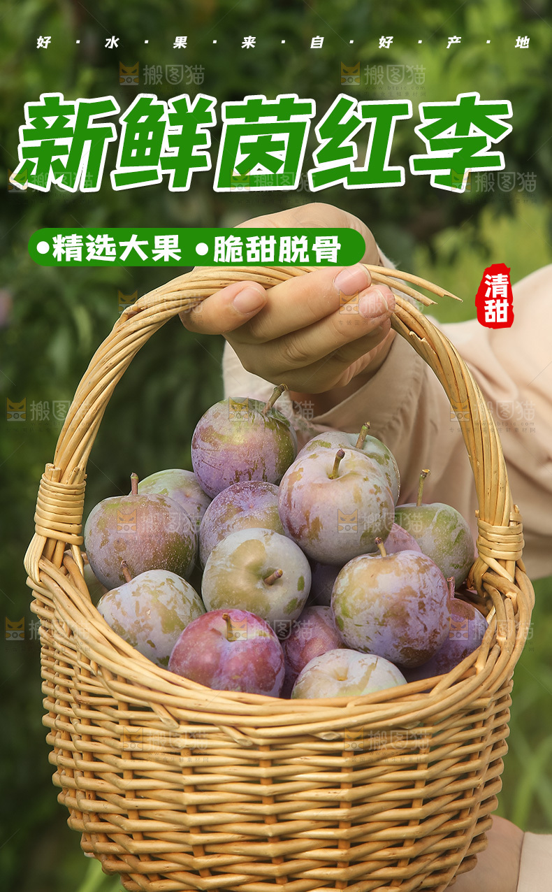 茵红李详情页