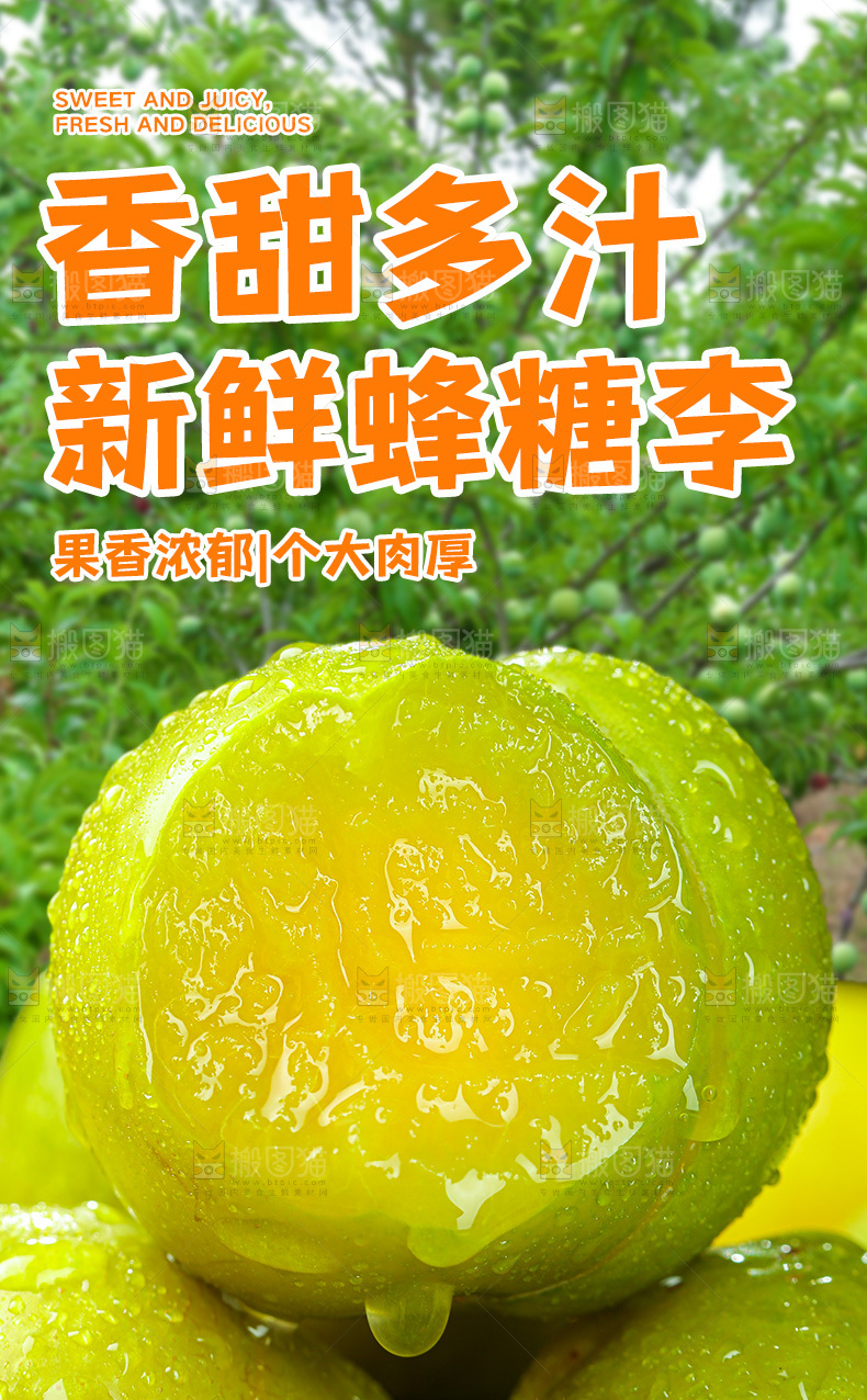 蜂糖李详情页