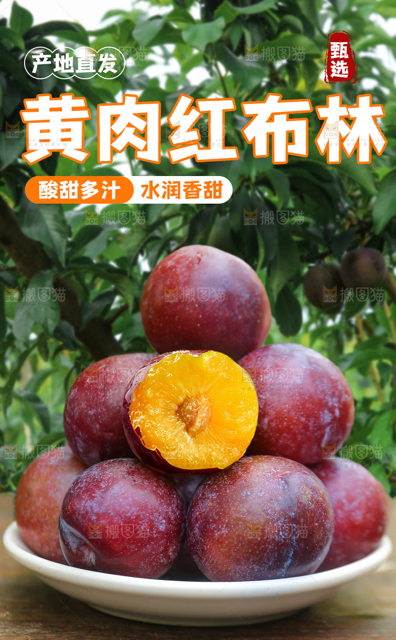 红布林李子详情页