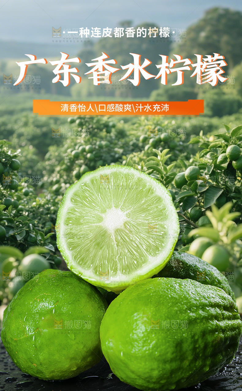 广东香水柠檬详情页