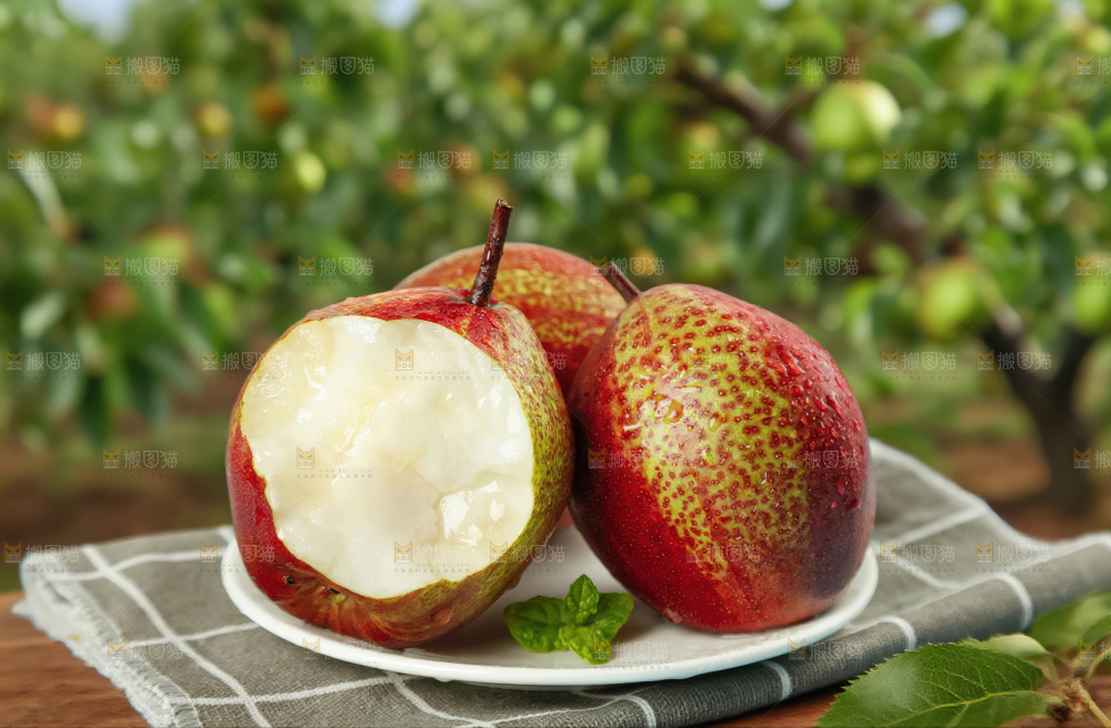彩虹梨