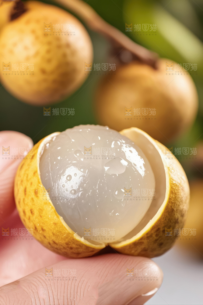 龙眼