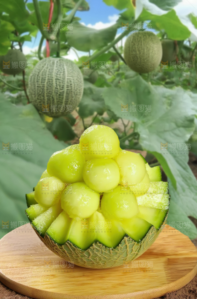 网纹蜜瓜