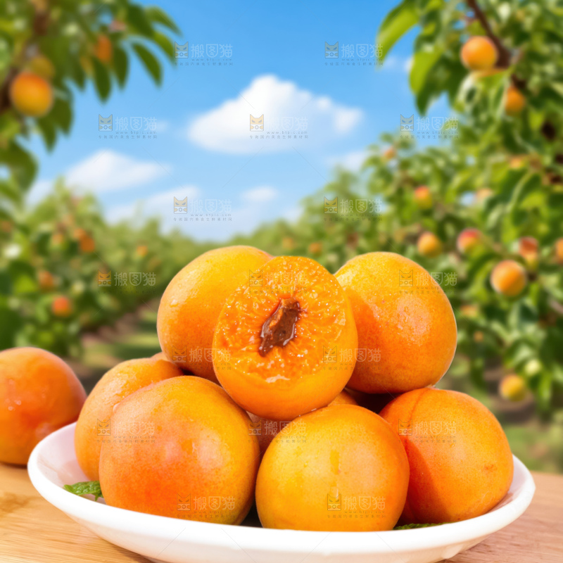 小红杏