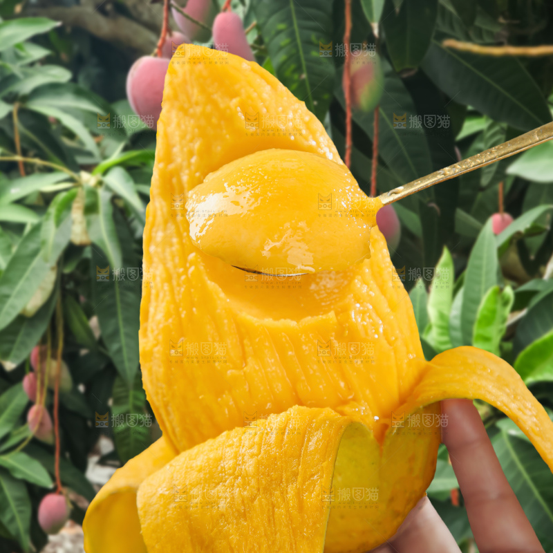 贵妃芒