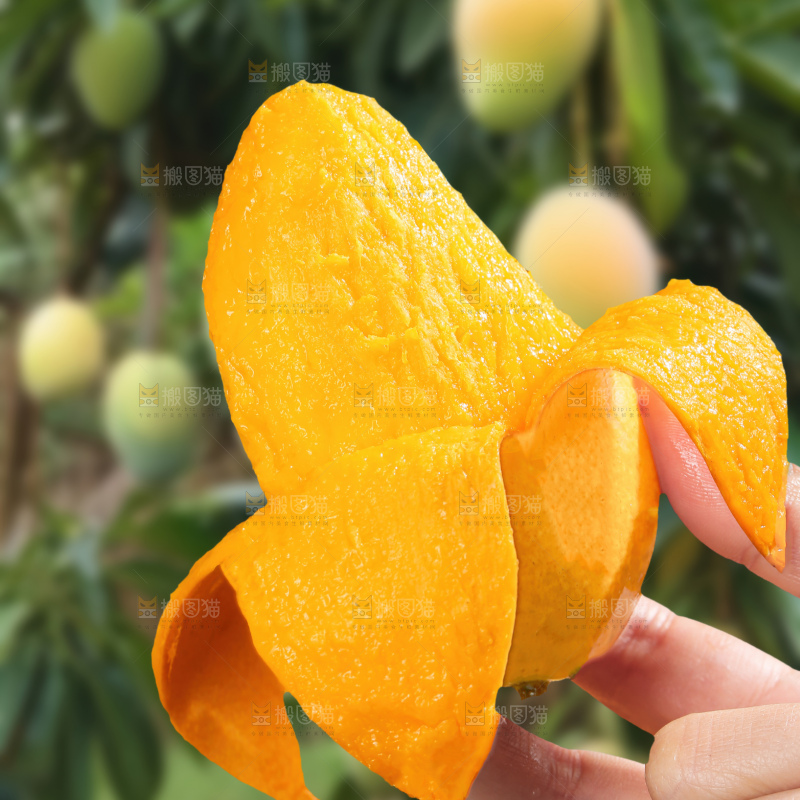 大台芒