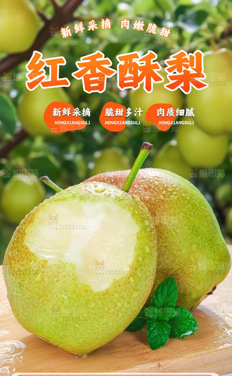 红香酥梨详情页