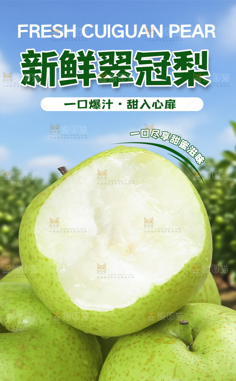 翠冠梨详情页