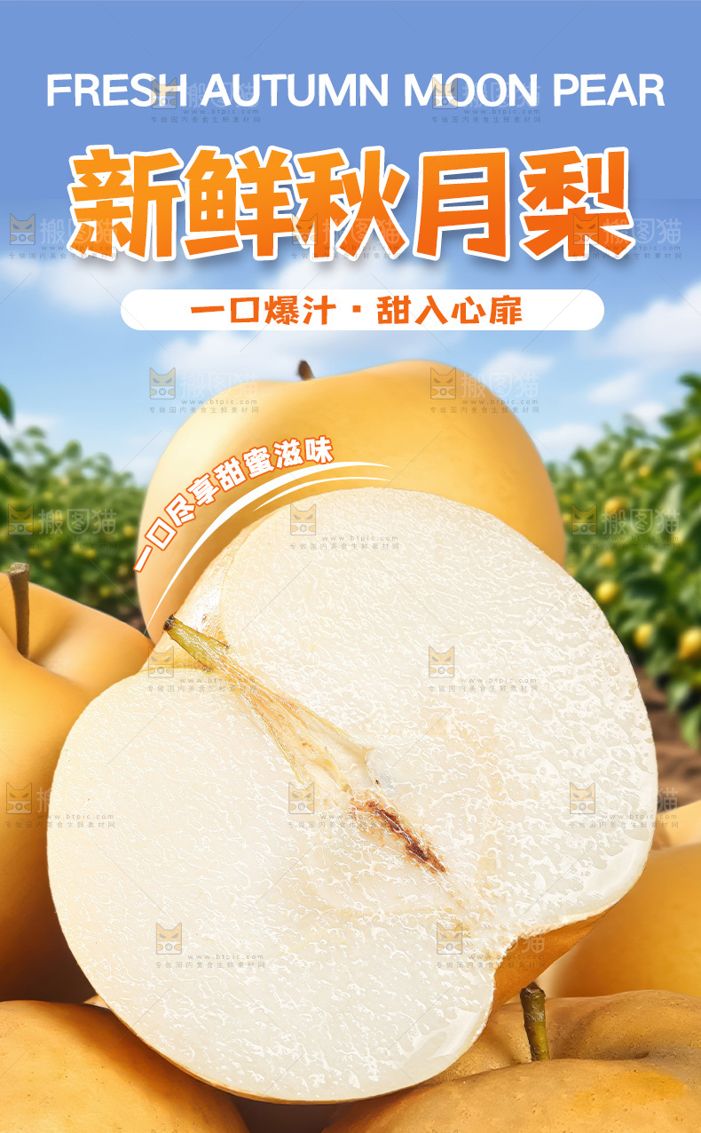 秋月梨详情页