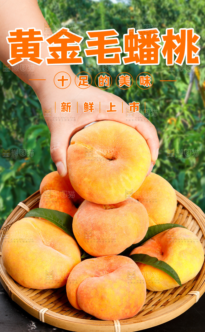 黄毛蟠桃详情页
