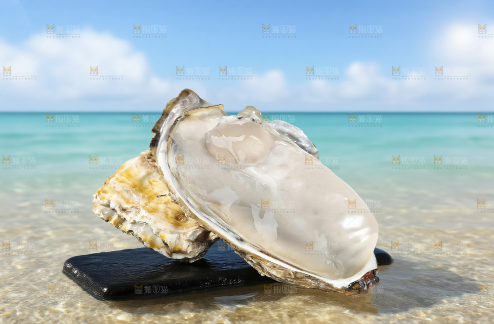 生蚝