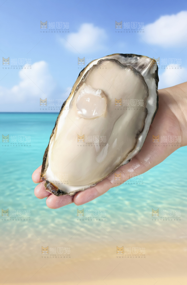 生蚝