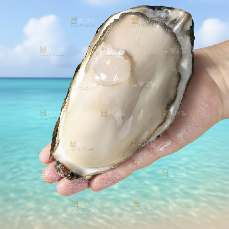 生蚝