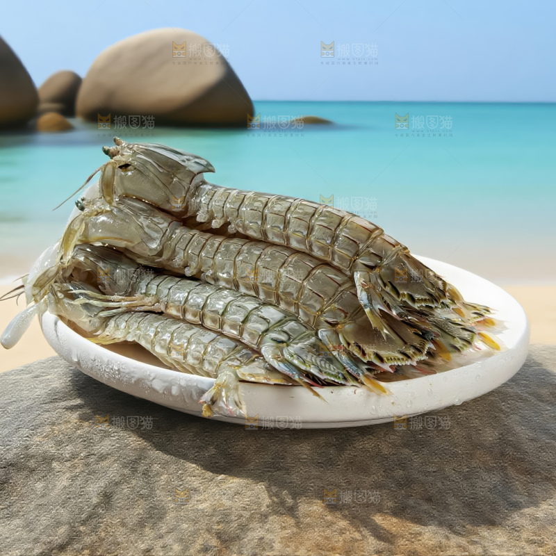 皮皮虾