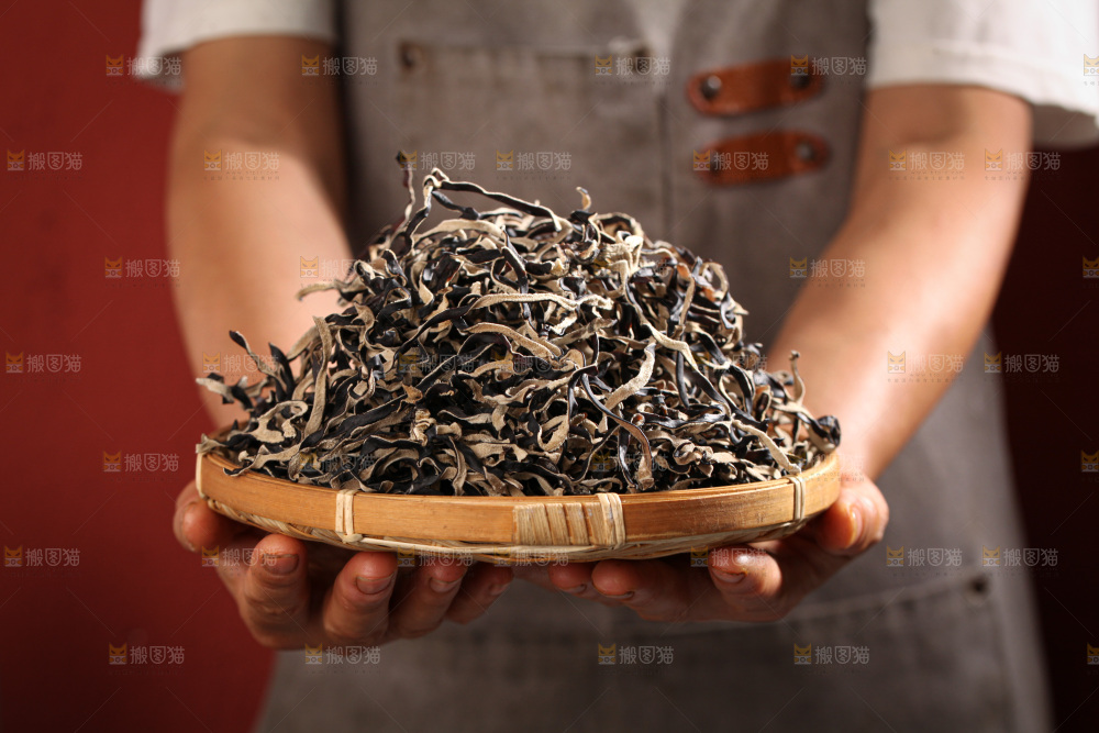 木耳丝