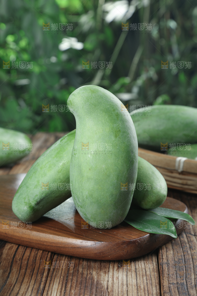 桂七芒