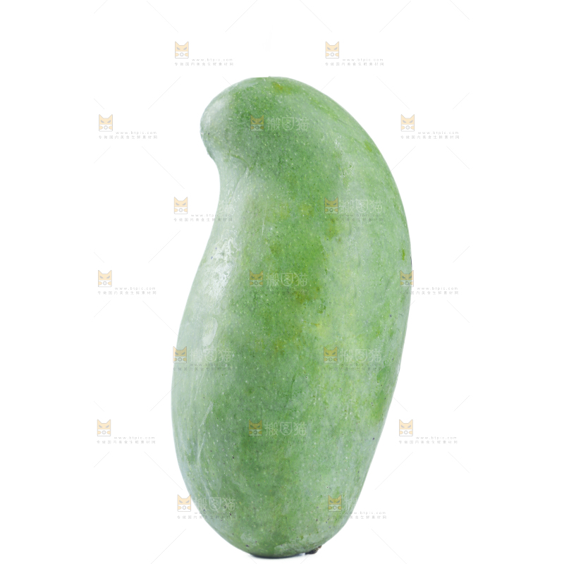 桂七芒