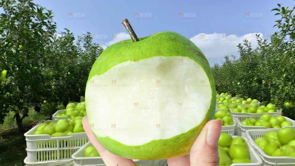 翠冠梨
