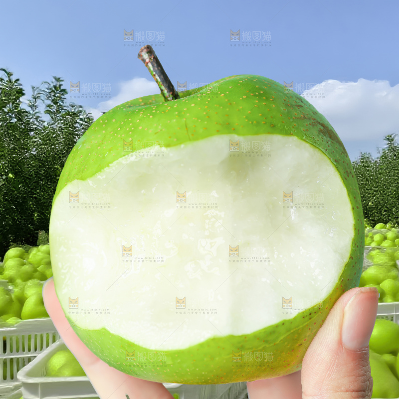 翠冠梨