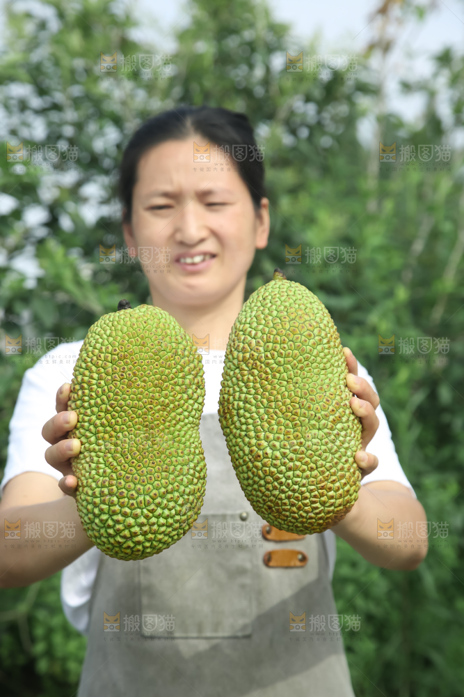 榴莲蜜