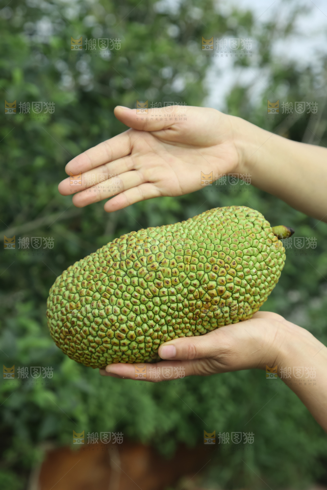 榴莲蜜