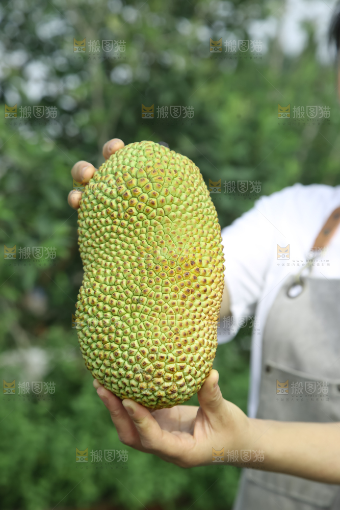 榴莲蜜