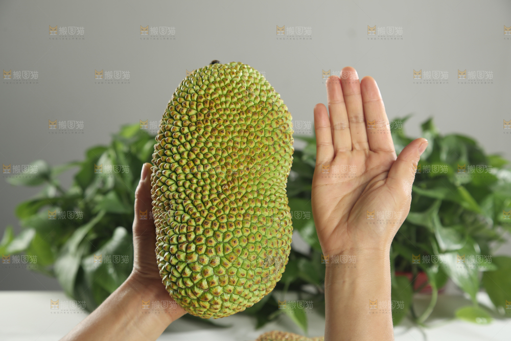 榴莲蜜