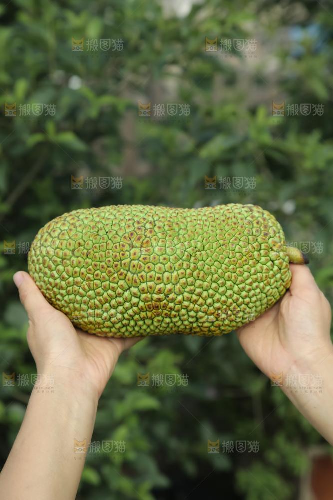 榴莲蜜