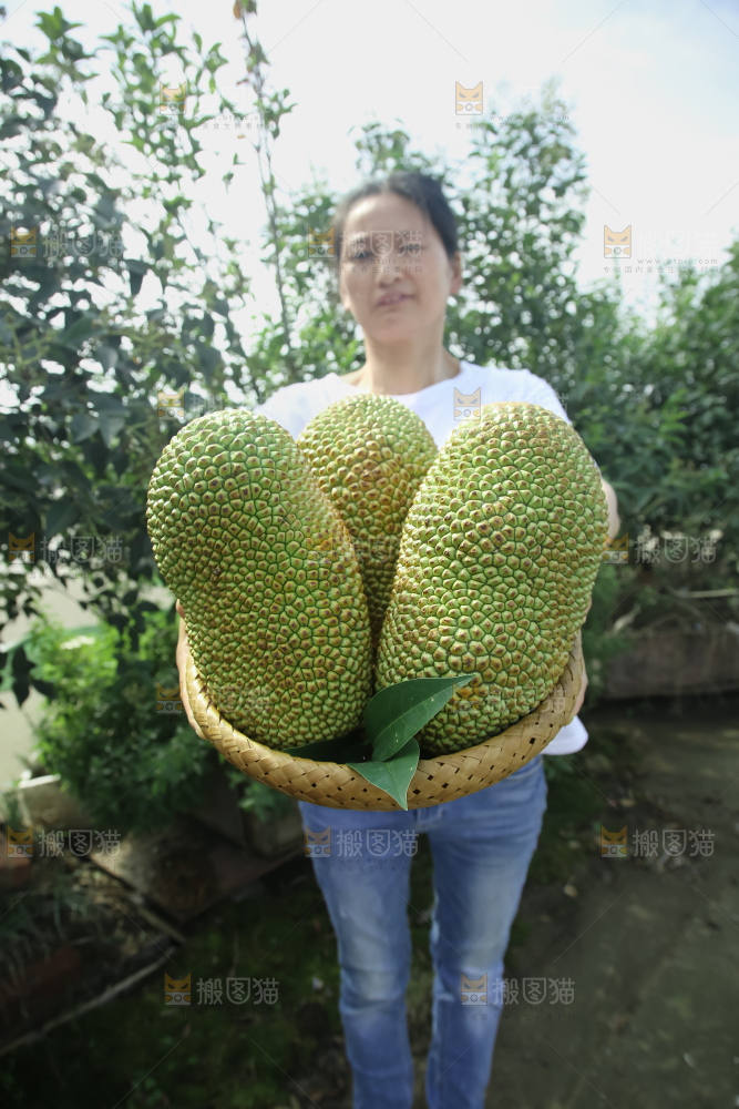 榴莲蜜