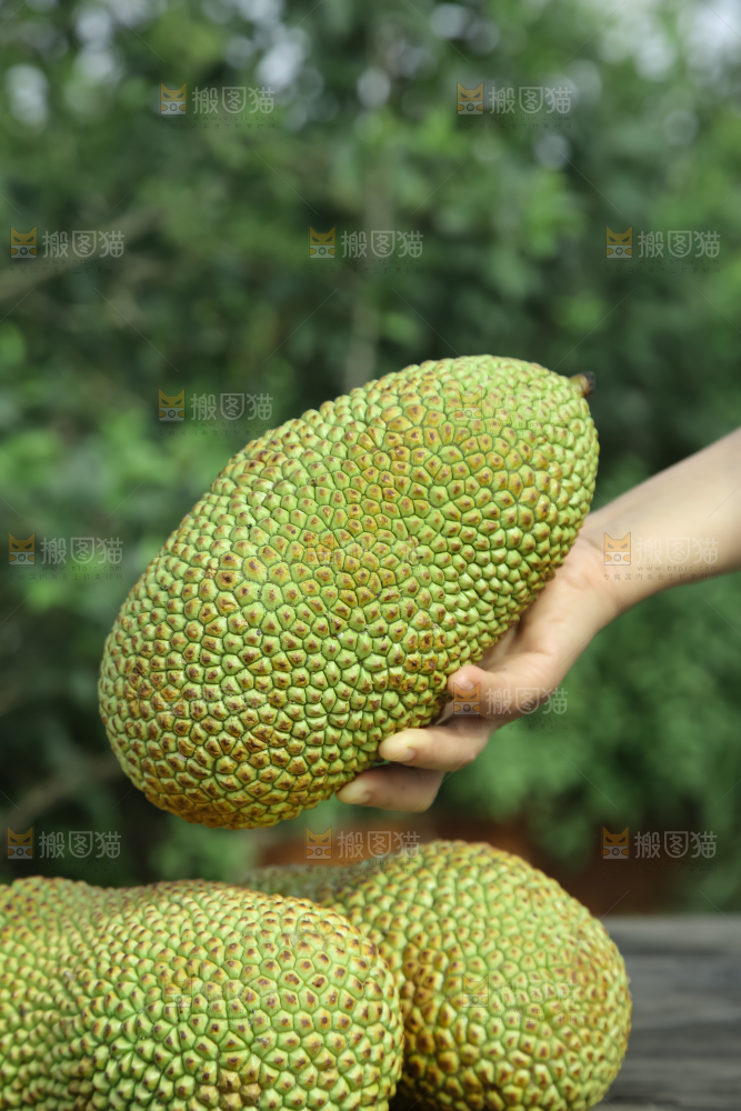 榴莲蜜
