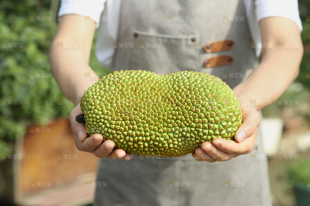 榴莲蜜