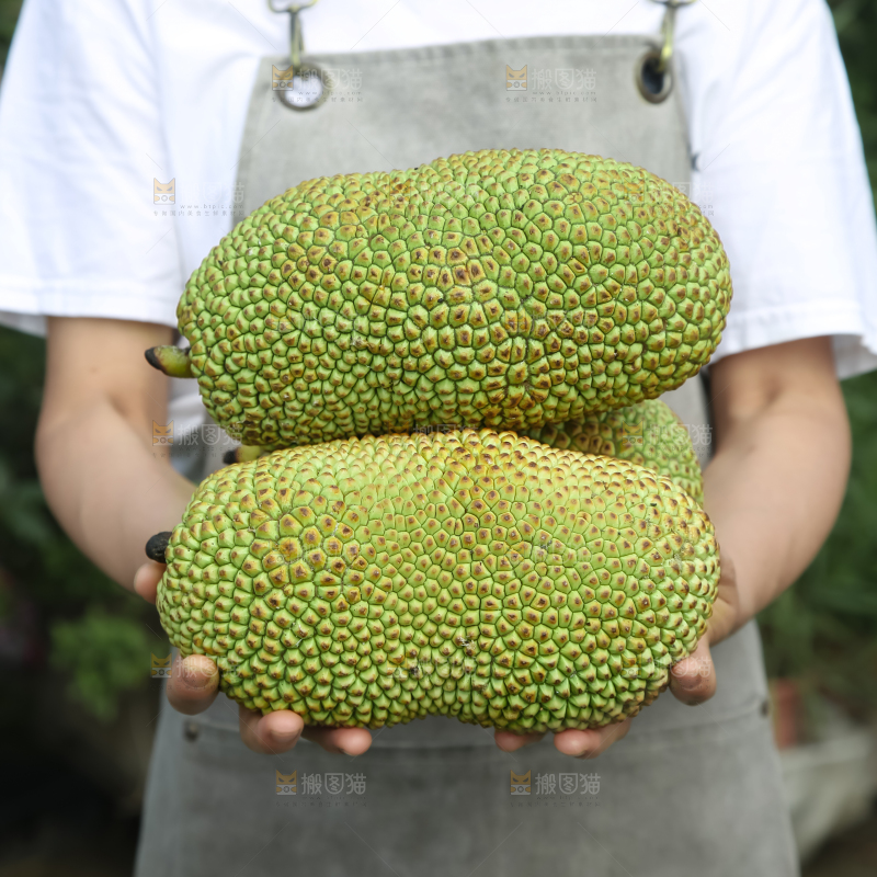 榴莲蜜