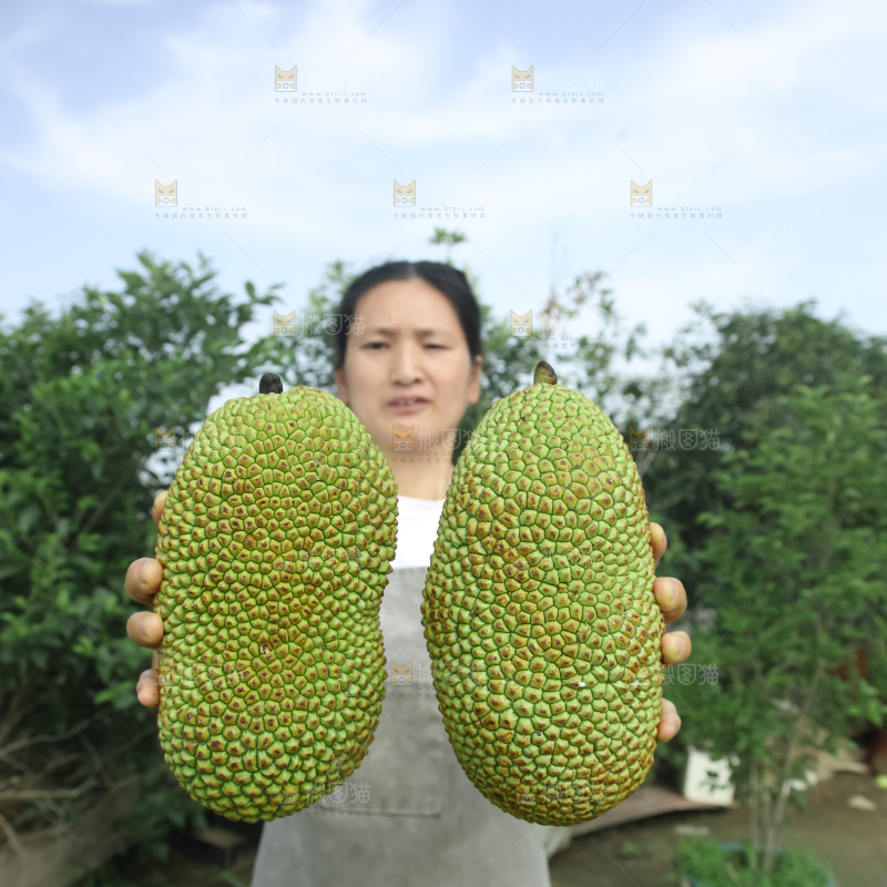 榴莲蜜